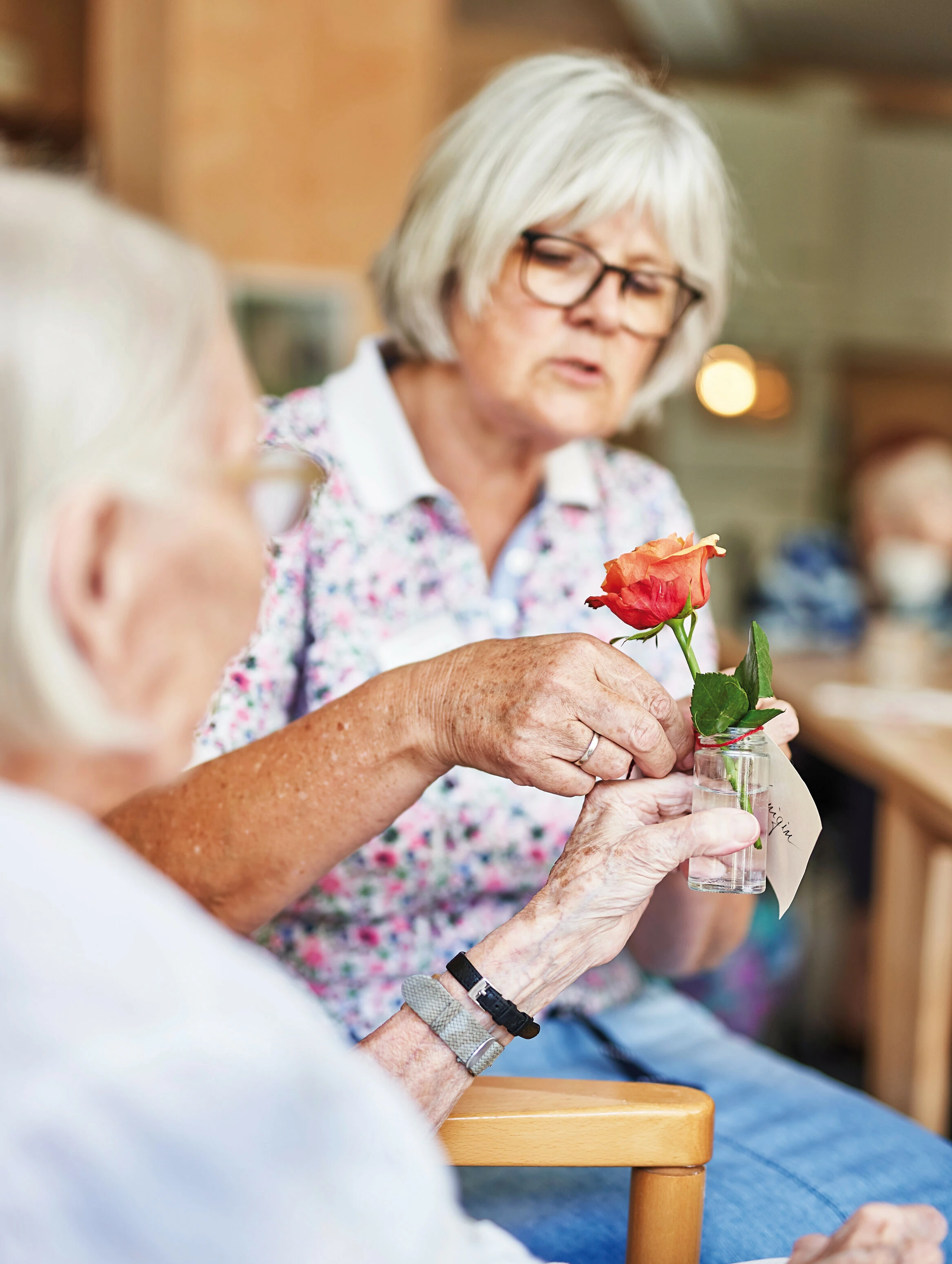 Neue Lebensphasen unterstützen und fördern